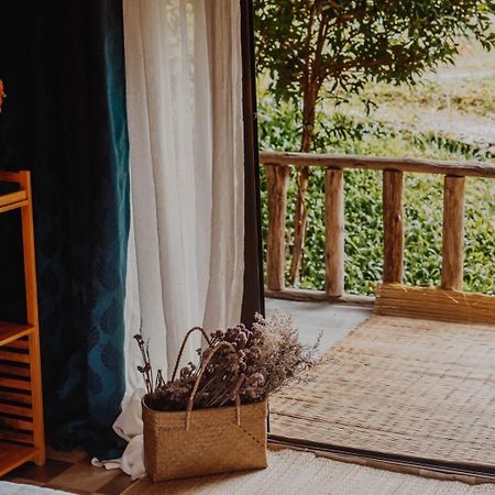 Ferienwohnung 3 Pok Maewang Jinxiang Mae Wang Exterior foto